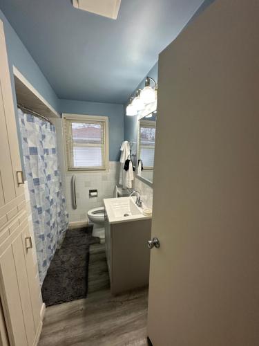 a bathroom with a sink and a toilet and a mirror at Blended Nest in Green Bay