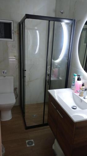 a bathroom with a shower and a toilet and a sink at Elaia Stay in Nea Vrasna