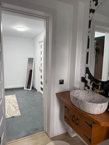 a bathroom with a sink and a mirror at Casa Apartament Refugiul Dornean in Vatra Dornei