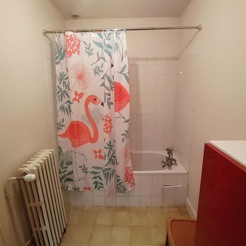 a bathroom with a shower curtain with a bird pattern at Le coin tranquille in Rodez