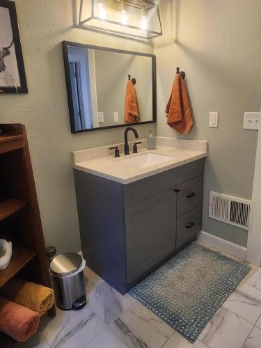 a bathroom with a sink and a mirror at Less is Moore in Thompsonville