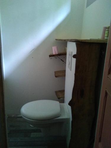 a bathroom with a white toilet in a staircase at Moulin Barrat in Le Veurdre