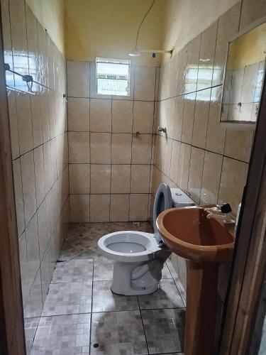 a bathroom with a toilet and a sink at Casa 2 quartos em frente a praia na cidade mística de colares a 96 quilômetros de Belém do Pará in Colares