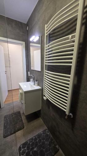 a bathroom with a sink and a shower with a window at Moderne 3-Zimmer-Wohnung mit separatem Eingang in Donauwörth