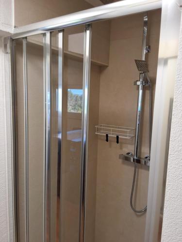 a shower with a glass door in a bathroom at Turistična kmetija Sušek in Muta