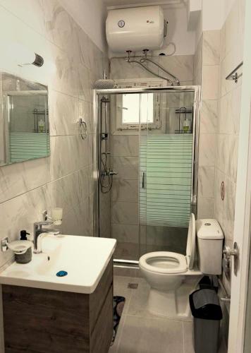a bathroom with a toilet and a sink and a shower at Mytilene Heritage Loft 3A2 in Mytilene