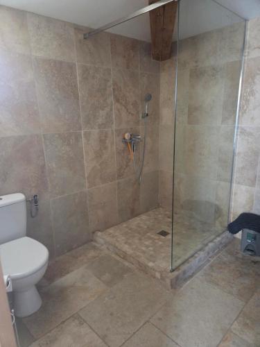 a bathroom with a glass shower with a toilet at love room les plaisirs partagés in Arles