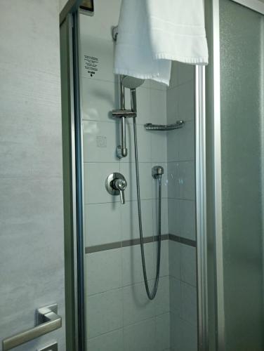 a shower with a glass door in a bathroom at Hotel Des Alpes in Rosta