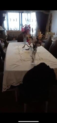 شقه دورين بنظام فيلا بالمهندسين