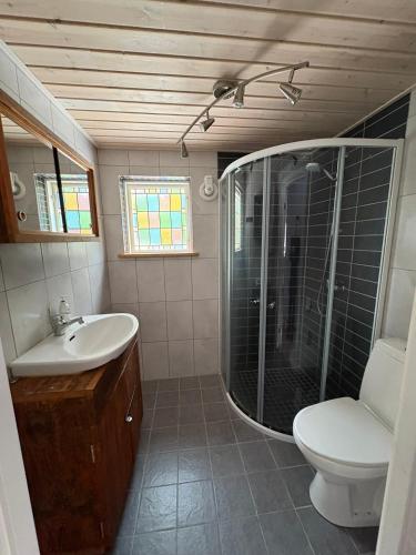 a bathroom with a shower and a toilet and a sink at Åker Lilläng Strandstugan in Åker