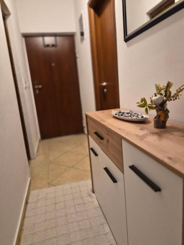 a kitchen with a counter with a plate on it at Stan Duo in Herceg-Novi