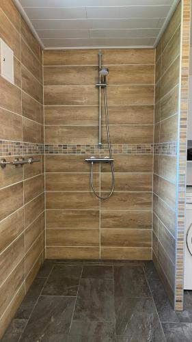 a bathroom with a shower with wooden walls at Ferienwohnung Schmid Lautrach im Illerwinkel in Lautrach