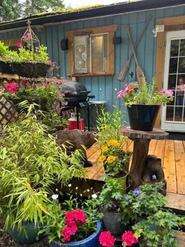 a garden with flowers in pots in front of a house at Sea 'N' Stars BNB in Gabriola