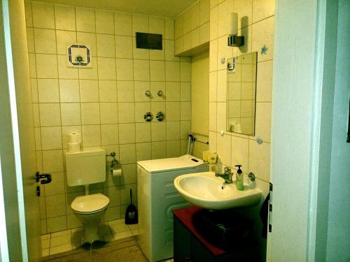 a small bathroom with a toilet and a sink at FeWo Oberhof - Tiefgarage und Parkplatz inklusive in Oberhof