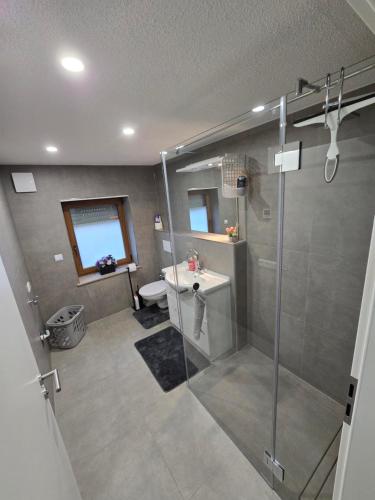 a bathroom with a shower and a sink at Apartment an der Prims Nalbach in Nalbach