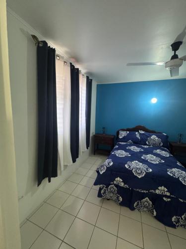 Gambar di galeri bagi Spring luv Villa di Montego Bay