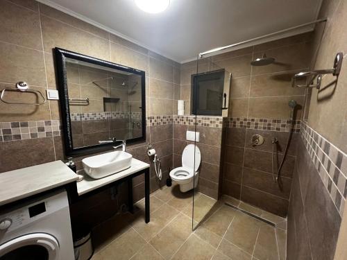 a bathroom with a toilet and a sink and a shower at Kuća Sunny Rudnik in Rudnik