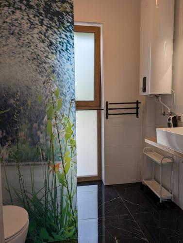 a bathroom with a toilet and a painting on the wall at Apartamenty Biwakowa 4B in Turawa
