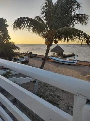 a palm tree and a boat on the beach at Posada "Las Palmeras" in Dzilam de Bravo