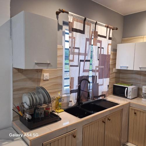 a kitchen with a sink and a microwave at Fayalobi in Saint-Laurent du Maroni