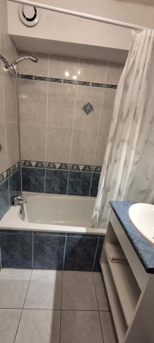 a bathroom with a bath tub and a sink at Studio au Port Dienville in Dienville