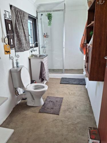 a bathroom with a toilet and a sink and a shower at The STAL in De Rust