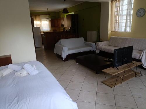 Paradise comfortable apartment