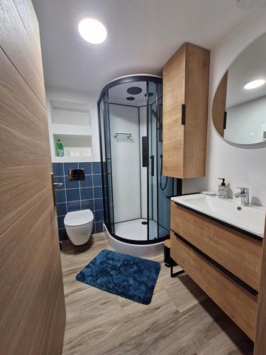 a bathroom with a shower and a sink and a toilet at Zalicarté in Saint-Jean-Pied-de-Port