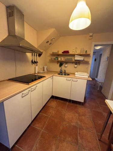 Dapur atau dapur kecil di L'appartement d'Adonis