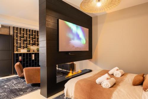 a bedroom with a fireplace and a tv on a wall at Host Inn Velvy Suite in Lyon