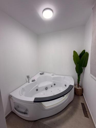 a white bath tub in a room with a plant at Casa Luna Beach-Front Suite in Dahab