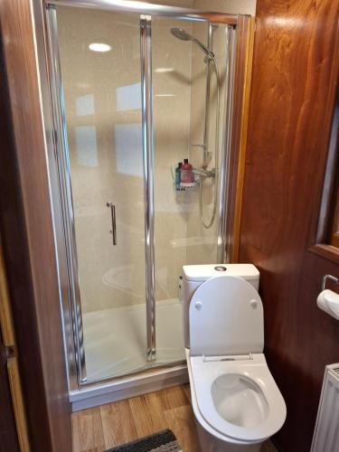 a bathroom with a shower and a toilet at The Swallow's Return LogCabin, Carlingford, A91D954 in Carlingford