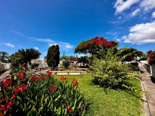 Apartamento Sol & Silencio