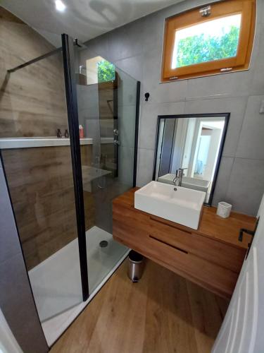 a bathroom with a sink and a shower at CountrySide Heaven in Neuilly-sur-Eure