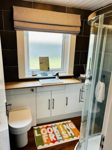 a bathroom with a sink and a toilet and a window at Newton Marina View in Stornoway