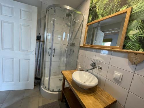 a bathroom with a sink and a shower and a mirror at Domek pod lasem in Pogorzelica