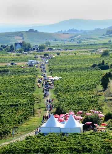 a crowd of people walking down a road next to tents at Hotel Landhaus Moserhof in Gumpoldskirchen