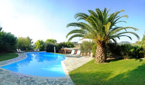 een palmboom naast een zwembad bij Villa Anna in Ágios Ioánnis