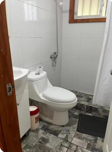 a bathroom with a toilet and a sink at Casa familiar en parcela privada Pucón in Pucón