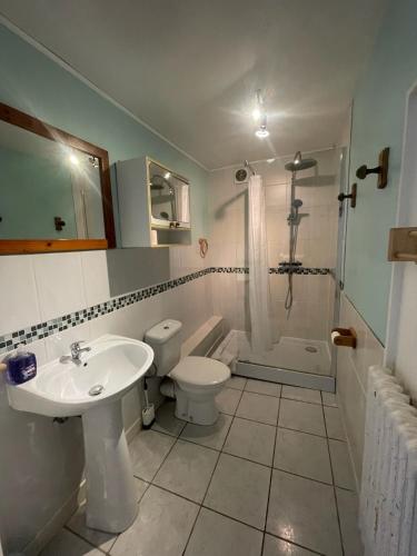 a bathroom with a sink and a toilet and a shower at Le Moulin L'Eveque in Campeaux