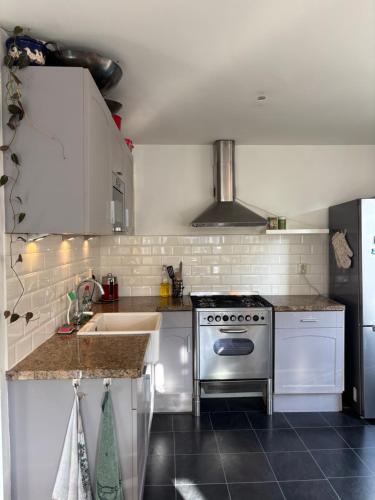 a kitchen with a stove and a sink at Lovely City Center Apartment in Alkmaar