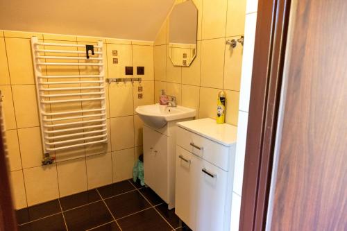 a small bathroom with a sink and a mirror at Agroturystyka ZIELONA ZAGRODA w Kosztowej in Dubiecko