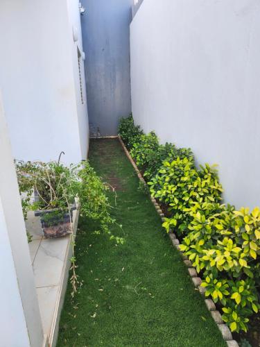 Un jardín con plantas verdes al lado de un edificio. en Kird, en Ngaring