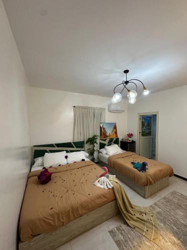 a bedroom with two beds and a chandelier at panorama pyramids view inn in Cairo