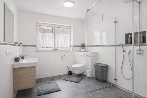 a bathroom with a shower and a toilet and a sink at Kleine Auszeit in Friedrichshafen