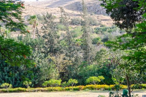 a park bench in front of a forest of trees at Bait Alfa Kibbutz Country Lodging in Bet Alfa