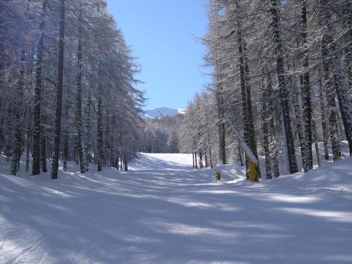 a snow covered road with trees in the background at Hotel Martin in Sauze dʼOulx
