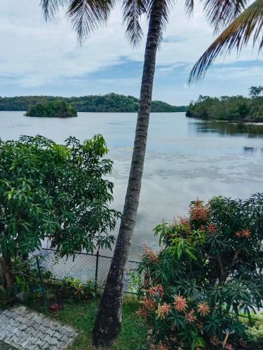 a view of a body of water with palm trees at Lagoon Stay in Moraketiara