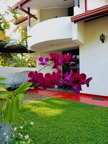 a bunch of pink flowers on the side of a house at Lagoon Stay in Moraketiara