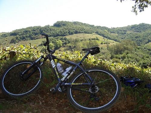 a bike parked in the grass in a field at Guest House Pacifica in Quarteira